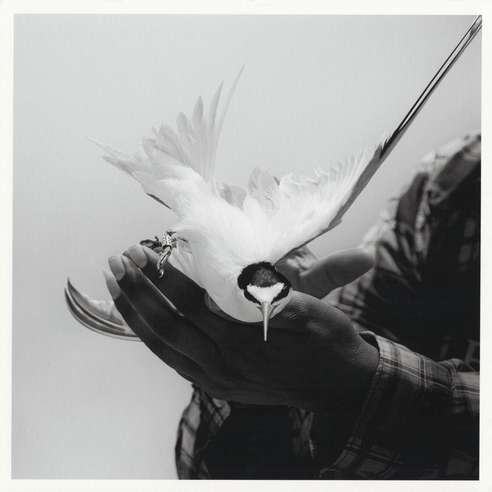 Photo by Céline Haeberly